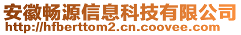 安徽暢源信息科技有限公司