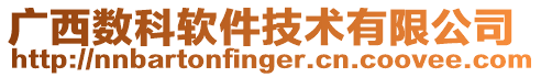 廣西數(shù)科軟件技術(shù)有限公司