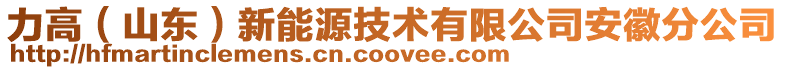 力高（山东）新能源技术有限公司安徽分公司