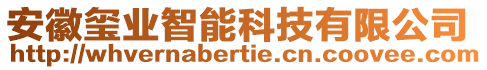 安徽璽業(yè)智能科技有限公司