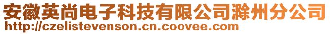 安徽英尚電子科技有限公司滁州分公司