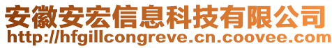 安徽安宏信息科技有限公司