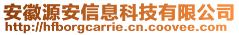 安徽源安信息科技有限公司