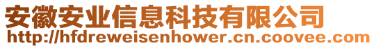 安徽安業(yè)信息科技有限公司