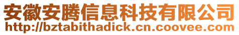 安徽安騰信息科技有限公司