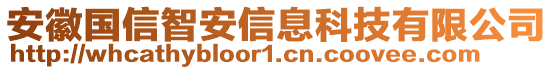 安徽國信智安信息科技有限公司