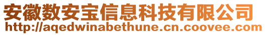 安徽數(shù)安寶信息科技有限公司