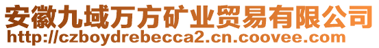 安徽九域萬方礦業(yè)貿(mào)易有限公司