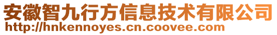 安徽智九行方信息技術(shù)有限公司