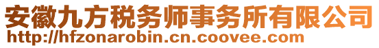 安徽九方稅務師事務所有限公司