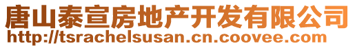 唐山泰宣房地產(chǎn)開發(fā)有限公司