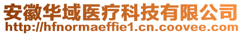安徽華域醫療科技有限公司