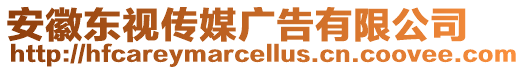 安徽東視傳媒廣告有限公司