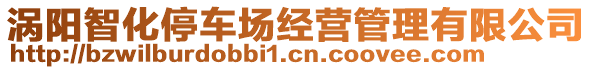 渦陽(yáng)智化停車(chē)場(chǎng)經(jīng)營(yíng)管理有限公司