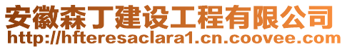 安徽森丁建設(shè)工程有限公司