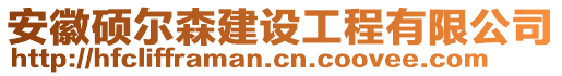 安徽碩爾森建設(shè)工程有限公司