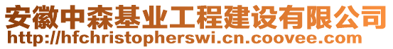 安徽中森基業(yè)工程建設有限公司