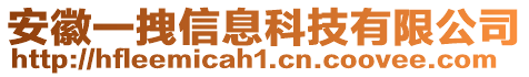 安徽一拽信息科技有限公司