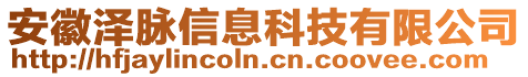 安徽澤脈信息科技有限公司