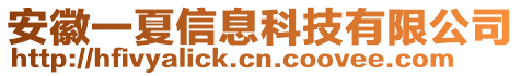 安徽一夏信息科技有限公司