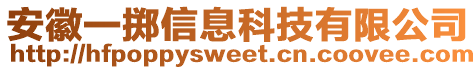 安徽一擲信息科技有限公司