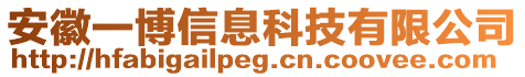 安徽一博信息科技有限公司