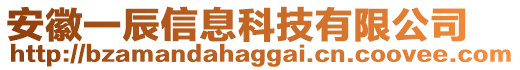 安徽一辰信息科技有限公司