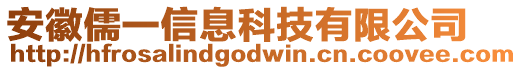 安徽儒一信息科技有限公司