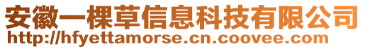 安徽一棵草信息科技有限公司