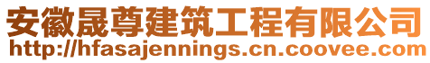 安徽晟尊建筑工程有限公司