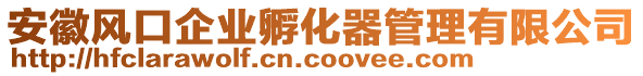 安徽風(fēng)口企業(yè)孵化器管理有限公司