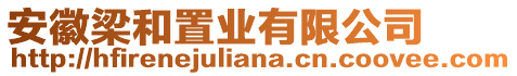 安徽梁和置業(yè)有限公司