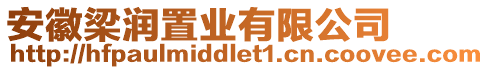 安徽梁潤置業有限公司