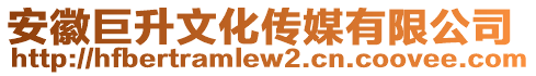 安徽巨升文化傳媒有限公司
