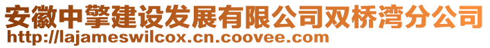 安徽中擎建設發(fā)展有限公司雙橋灣分公司