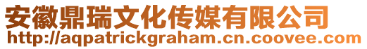 安徽鼎瑞文化傳媒有限公司