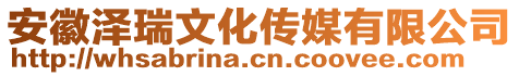 安徽澤瑞文化傳媒有限公司