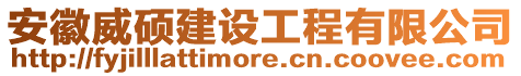 安徽威碩建設(shè)工程有限公司