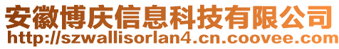 安徽博慶信息科技有限公司