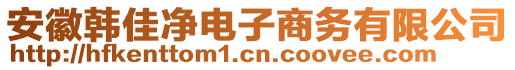 安徽韓佳凈電子商務(wù)有限公司