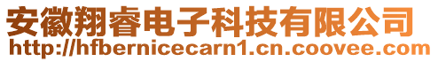 安徽翔睿電子科技有限公司