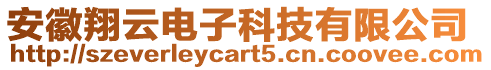 安徽翔云電子科技有限公司