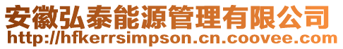 安徽弘泰能源管理有限公司