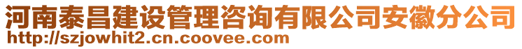 河南泰昌建設(shè)管理咨詢有限公司安徽分公司