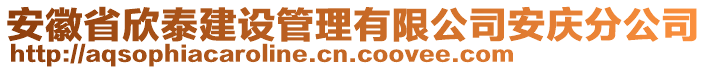 安徽省欣泰建設(shè)管理有限公司安慶分公司