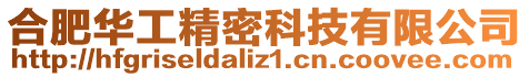 合肥華工精密科技有限公司