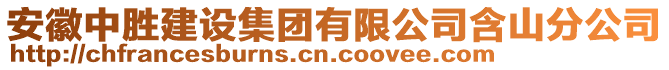 安徽中勝建設(shè)集團有限公司含山分公司