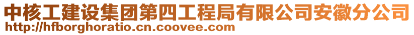 中核工建設集團第四工程局有限公司安徽分公司