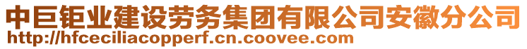 中巨鉅業(yè)建設勞務集團有限公司安徽分公司