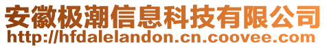 安徽極潮信息科技有限公司